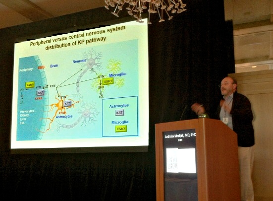 Ladislav Mrzljak: KMO inhibiting drugs might be able to take advantage of cross-talk between brain and immune system
