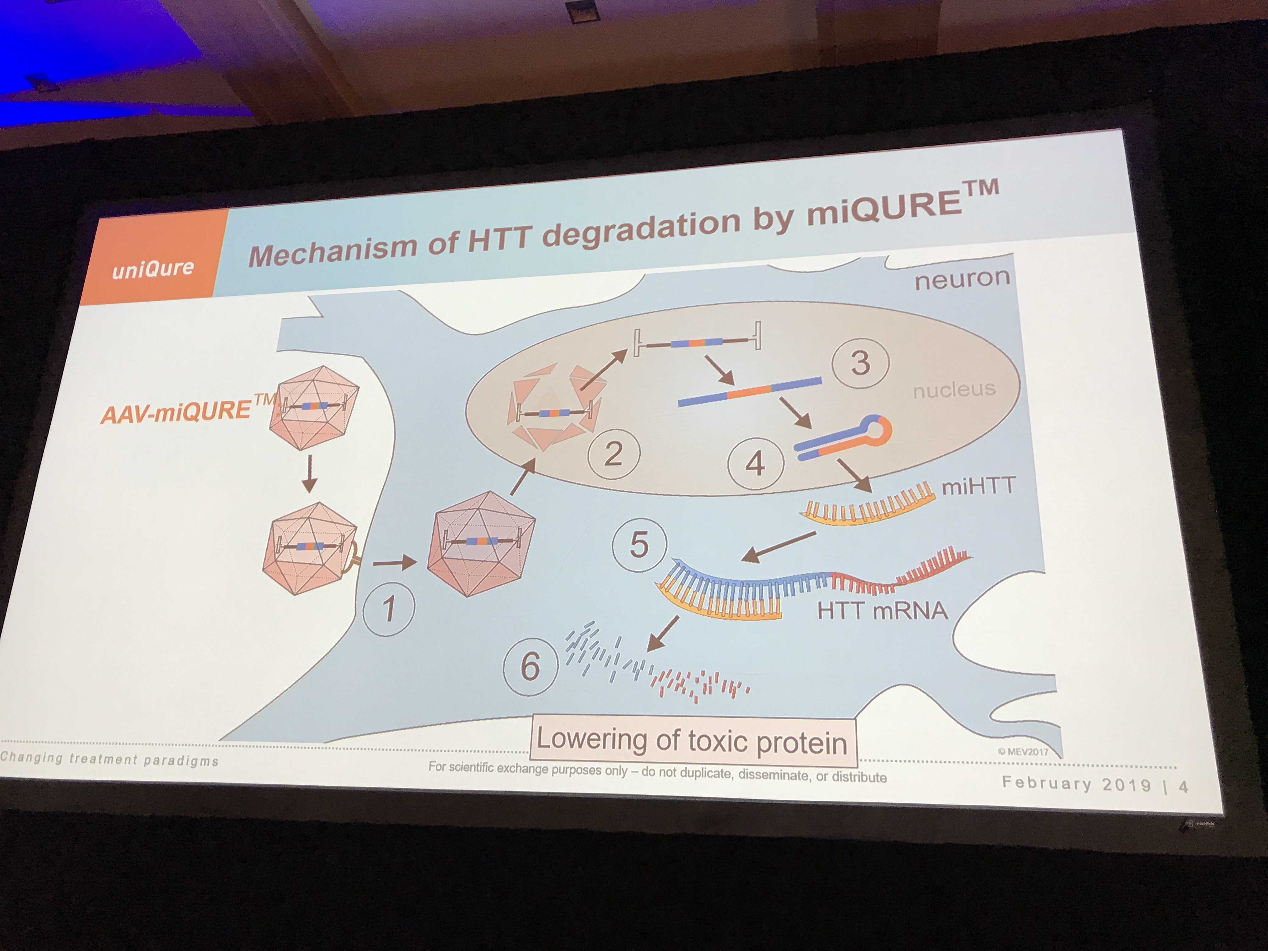 We heard about several âgene therapyâ approaches to lowering huntingtin - this one is uniQureâs which just got the thumbs-up from the FDA to go into human trials