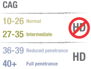 Tabulka shrnující různé možné výsledky prediktivního testování na HCH. Tento článek je o lidech s "přechodným" počtem CAG - mezi 27 a 35.  
