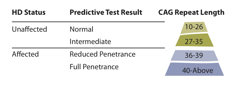 V tabulce je přehled různých možných výsledků prediktivního testování na HCH  
